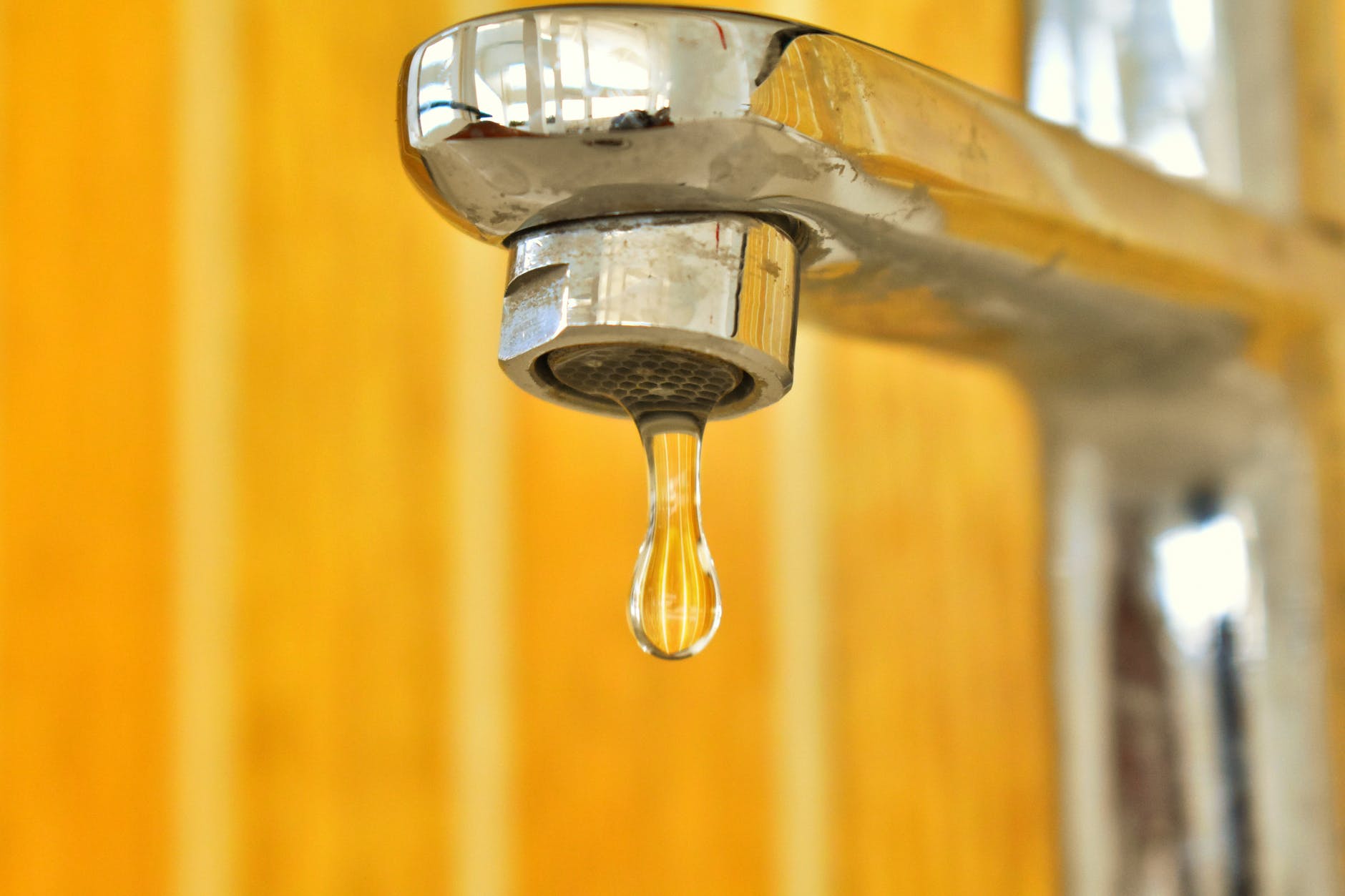 close up photo of water drop